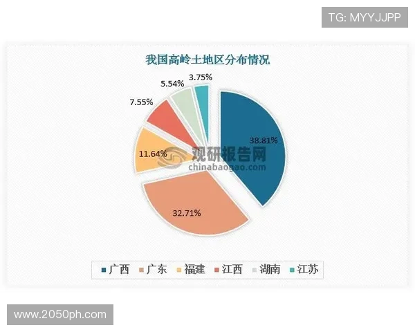 武汉排球队实力分析与发展前景的深度探讨与展望